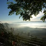 La Vigna Del Parroco Verduno