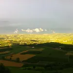 La Vigna Del Parroco