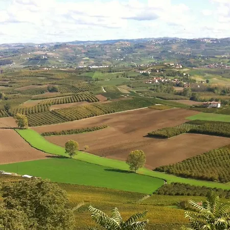 La Vigna Del Parroco Verduno