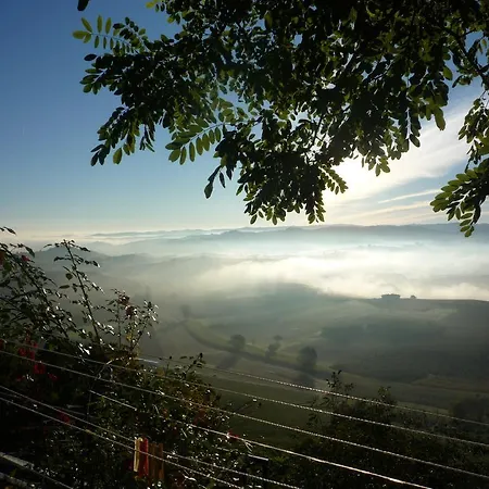 La Vigna Del Parroco Verduno