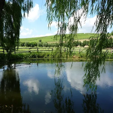 Lägenhet La Vigna Del Parroco *