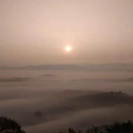 La Vigna Del Parroco Verduno