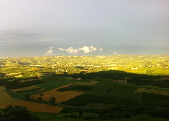 La Vigna Del Parroco