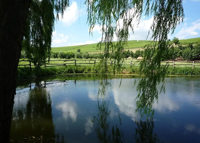 Διαμέρισμα La Vigna Del Parroco *